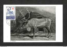 FINLANDE - FINLAND - SUOMI - Carte MAXIMUM 1957 - Reindeer (Rangifer Tarandus) - Cartoline Maximum