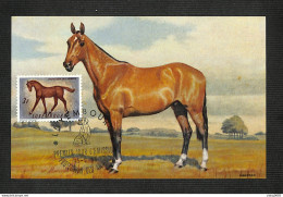 LUXEMBOURG - Carte MAXIMUM 1961 - Protection Des Animaux - Cheval - Cartoline Maximum