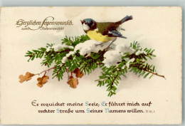 39791506 - Neujahr Tannenzweigen Psalm - Vögel