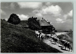 10586106 - Bueron - Sonstige & Ohne Zuordnung