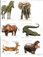 BT17 - IMAGES THERMOFORMEES STENVAL - ELEPHANT ZEBRE IMPALA CROCODILE RHINOCEROS HIPPOPOTAME - Autres & Non Classés