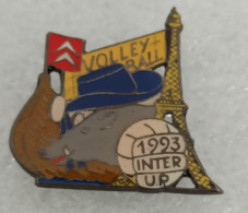 Pin's Citroën Volley-ball 1993. Chasse Sanglier - Citroën