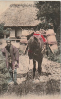 XU 3-(JAPON ) JAPONAIS AVEC CHEVAL TRANSPORTANT DES VIVRES - JAPANESE -  2 SCANS - Equipaggiamenti