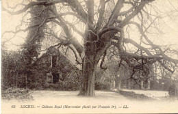 CPA - LOCHES - CHATEAU ROYAL - MARRONNIER PLANTE PAR FRANCOIS1er - Loches