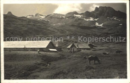 12029823 Flums SG Alp Fursch Kuehe Flumserberg Mit Spitzmeilen Glarner Alpen Flu - Sonstige & Ohne Zuordnung