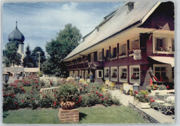 51470606 - Hinterzarten - Hinterzarten