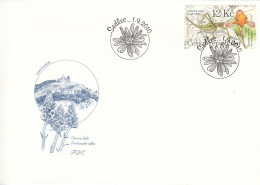 FDC CZECH REPUBLIC 645 - Other & Unclassified