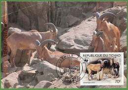 ZA0425 - TCHAD - Postal History - MAXIMUM - FAUNA WWF - 1988 - Maximumkarten