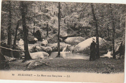 YO 4-(29) HUELGOAT - LA MARE AUX SANGLIERS - ANIMATION - 2 SCANS - Huelgoat