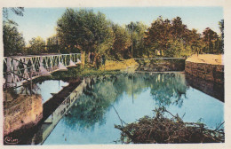 YO 19-(38) BEAUREPAIRE - PASSERELLE SUR LE SUZON - CARTE COULEURS - 2 SCANS - Beaurepaire