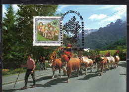 AUSTRIA ÖSTERREICH 1991 AUSTRIAN FOLK FESTIVAL ALMABTRIEB TYROL 4.50s CARTE MAXIMUM MAXI CARD - Cartes-Maximum (CM)