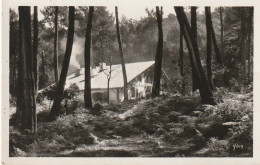 YO 23-(40) HOSSEGOR - VILLA DANS LA FORET EN BORDURE DU LAC - 2 SCANS - Hossegor