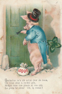 YO Nw29- "  UN JOUR DE NOCE   PORTE CLOSE " - COCHON HUMANISE AVEC BOURSE DE LOUIS - ILLUSTRATEUR - 2 SCANS - Humour