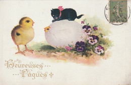 YO Nw29- " HEUREUSES PAQUES " - CHATON SUR OEUF QUI ECLOS - POUSSIN - 2 SCANS - Ostern