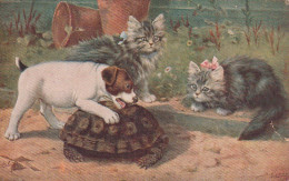 YO Nw29- " WHEN DOGS ARE PUPPIES " - CHIOT AVEC TORTUE ET CHATONS - ILLUSTRATEUR COBBE - 2 SCANS - Other & Unclassified