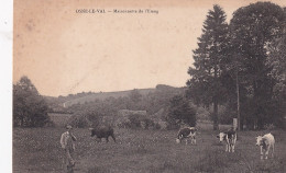 XU Nw-(52) OSNE LE VAL - MAISONNETTE DE L'ETANG - TROUPEAU DE VACHES AUX PATURAGES - Sonstige & Ohne Zuordnung