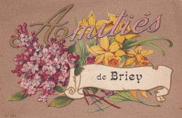 XU Nw-(54) AMITIES DE BRIEY - CARTE FANTAISIE - DECOR FLORAL : JONQUILLES ET LILAS - Briey