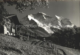 12024808 Wengen BE Blick Gegen Jungfrau Berner Alpen Wengen - Sonstige & Ohne Zuordnung