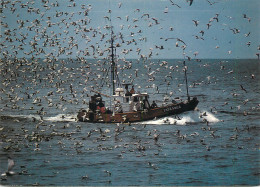 Navigation Sailing Vessels & Boats Themed Postcard Fishing Vessels - Velieri