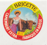 G G 405  /  ETIQUETTE DE FROMAGE   CAMEMBERT BRICETTE     FABRIQUE. EN ARIEGE     (ARIEGE ) - Quesos