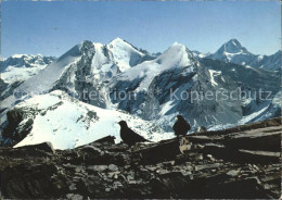 12023678 Wildstrubel Balmhorn Rinderhorn Bietschhorn Wildstrubel - Sonstige & Ohne Zuordnung