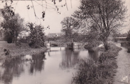 YO Nw-(59) BERLAIMONT  - LE DEVERSOIR - Berlaimont