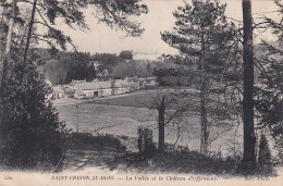 YO Nw-(60) SAINT CREPIN AU BOIS - LA VALLEE ET LE CHATEAU D'OFFEMONT - Sonstige & Ohne Zuordnung