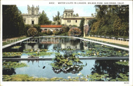 12020936 San_Diego_California Water Lilies In Lagoon Balboa Park - Andere & Zonder Classificatie