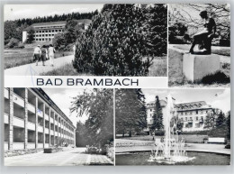 51213706 - Bad Brambach - Bad Brambach
