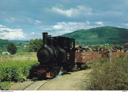 Deutschland Germany Schinznacher Baumschulbahn Lok Pinus - Trains