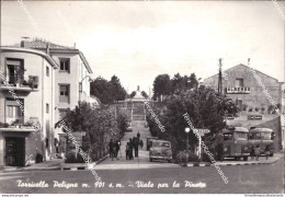 Cd626 Cartolina Torricella Peligna Viale Per La Pineta Chieti Abruzzo Bella! - Chieti