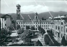 Bb190 Cartolina Borgosesia Municipio E Scuole Comunali Vercelli Piemonte - Vercelli