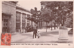 PARIS LE JARDIN DES PLANTES LES LOGES DES ANIMAUX FEROCES - Parks, Gärten