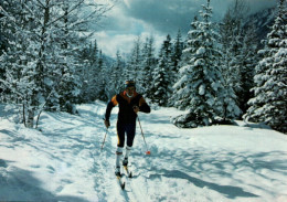 CPM - SKI De FOND ... LOT 2 CP à Saisir - Winter Sports