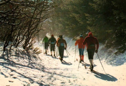 CPM - SKI De FOND - Pistes & Promenade En Forêt ... LOT 3 CP à Saisir - Sport Invernali