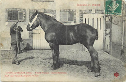 - Orne -ref-B787- Elevage Au Perche - Condé Sur Huisne - Ecurie Bourdin - Cheval Percheron - Elevage Chevaux - - Autres & Non Classés