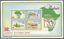 Malawi 1990 SADCC Conference S/s, Mint NH, Nature - Animals (others & Mixed) - Fish - Trees & Forests - Peces