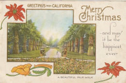 ZA 4- " MERRY CHRISTMAS  " - GREETINGS FROM CALIFORNIA - CARTE GAUFREE - JARDIN AVEC PALMIERS , DECOR FLORAL - DORURE - Autres & Non Classés