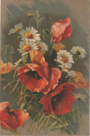 ZA 5- COMPOSITION FLORALE- FLEURS CHAMPETRES : COQUELICOTS , MARGUERITES - ILLUSTRATEUR (KLEIN ?) - 2 SCANS - 1900-1949