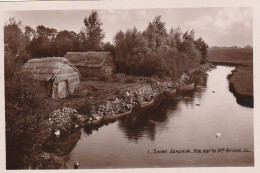 ZA 7-(44) SAINT JOACHIM - VUE SUR LA GRANDE BRIERE - BOURRINES - 2 SCANS - Saint-Joachim