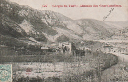 ZA 10-(48) GORGES DU TARN - CHATEAU DES CHARBONNIERES  - 2 SCANS - Sonstige & Ohne Zuordnung