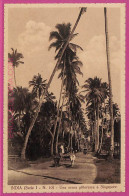 Ag3691  - INDIA - VINTAGE POSTCARD - Singapore - India