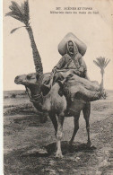 ZA 14- MEHARISTE DANS LES OASIS DU SUD - HOMME A DOS DE DROMADAIRE - 2 SCANS - Afrika