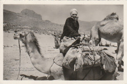 ZA 14-( ALGERIE ) - " MISSION TCF AU HOGGAR " - NOBLE TARGUI ET SON MEHARI - 2 SCANS - Sonstige & Ohne Zuordnung