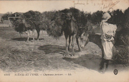 ZA 16-( MAROC ) -  CHAMEAUX PORTEURS - CORRESPONDANCE DU MAROC 01/03/1916 - 2 SCANS - África