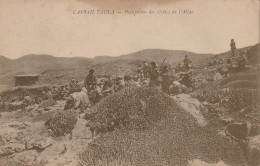 ZA 16- CASBAH TADLA ( MAROC ) - OCCUPATION DES CRETES DE L' ATLAS - 2 SCANS - Autres & Non Classés