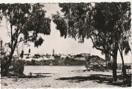 ZA 16- RABAT ( MAROC ) - LES OUDAIAS  VUS DE LA PLAGE DE SALE - 2 SCANS - Rabat