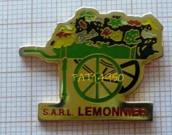 PAT14950 SARL LEMONNIER   CHARIOT De FLEURS FRUITS LEGUMES  CHARETTE à BRAS 4 SAISONS - Alimentation