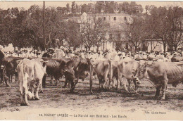 ZA 18- MAISON CARREE , EL HARRACH ( ALGERIE ) - LE MARCHE AUX BESTIAUX - LES BOEUFS - ANIMATION - 2 SCANS - Autres & Non Classés