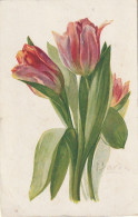 Z+ 6- FLEURS :  TULIPES - ILLUSTRATEUR BARDE  - 2 SCANS - Other & Unclassified